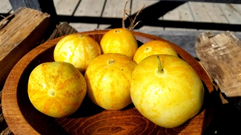 Lemon Cucumbers 9-12-19.jpg