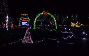 Christmas in the Park