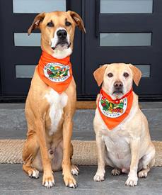 Walktober-bandana.jpg